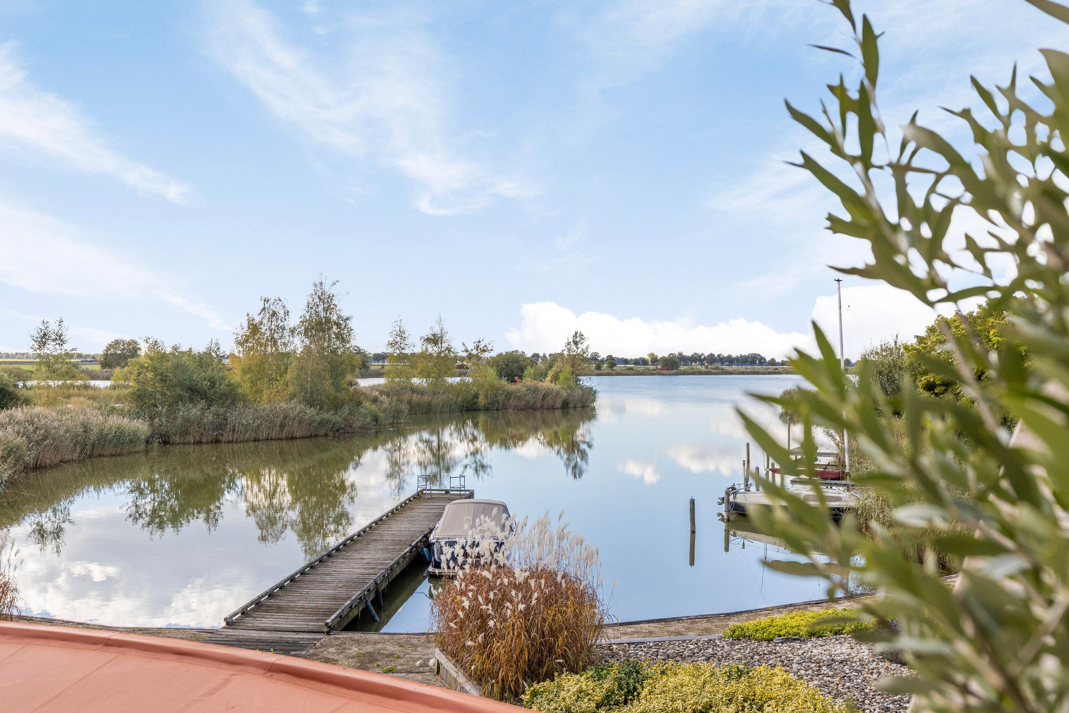 Foto 3 van Rietgors 3-03