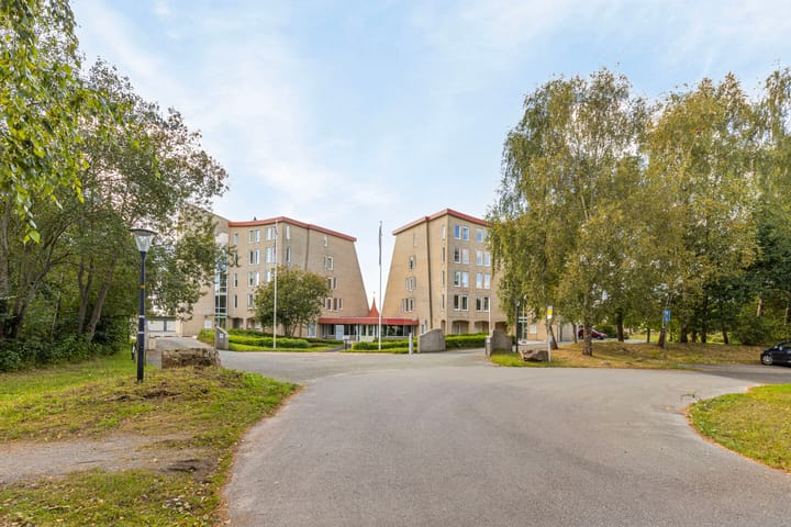 Foto 5 van Rietgors 3-03