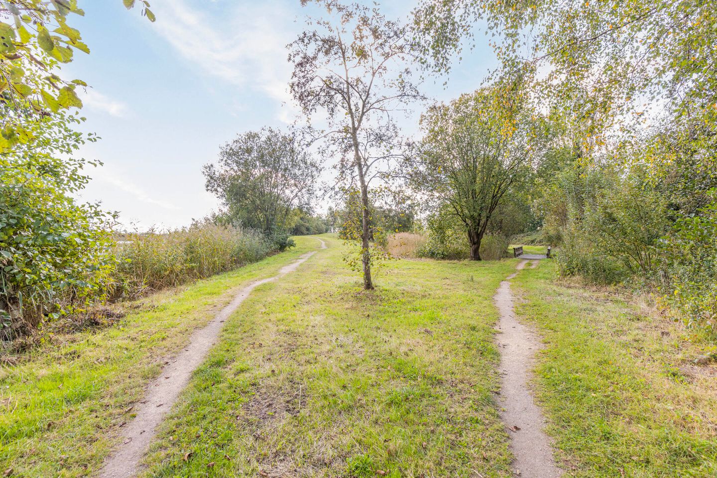 Foto 40 van Rietgors 3-03