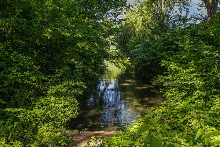 Bekijk foto 39 van Arenberglaan 167