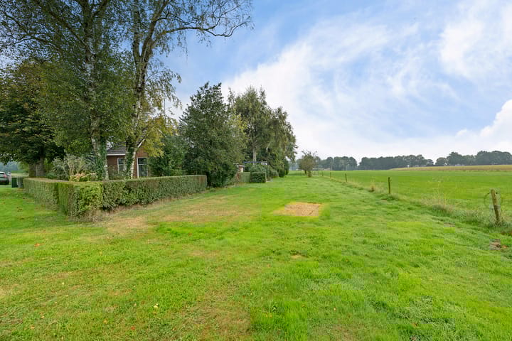 Photo 31 of Wolddijk 2