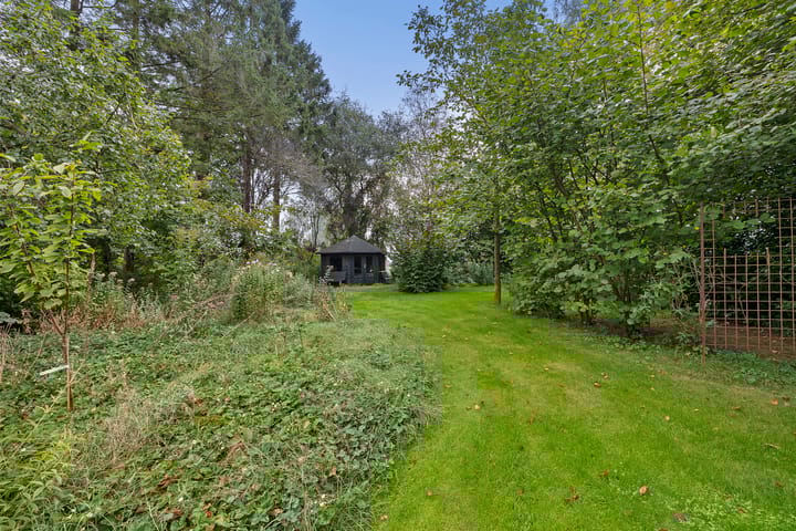 Photo 39 of Wolddijk 2