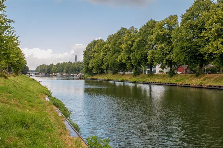 Bekijk foto 38 van Laan van Nieuw-Guinea 11