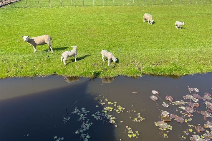 Bekijk foto 19 van Oostgraftdijk 17