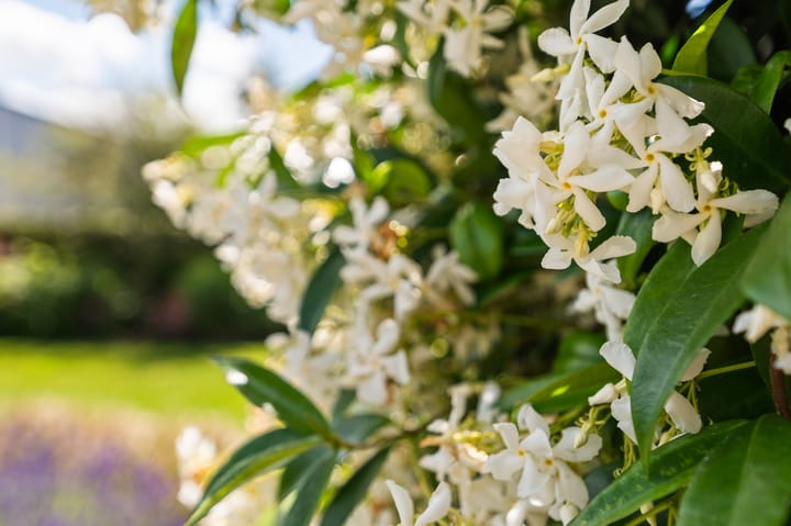 Foto 49 van Straatweg 76-F