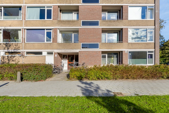 Abeelstraat 53