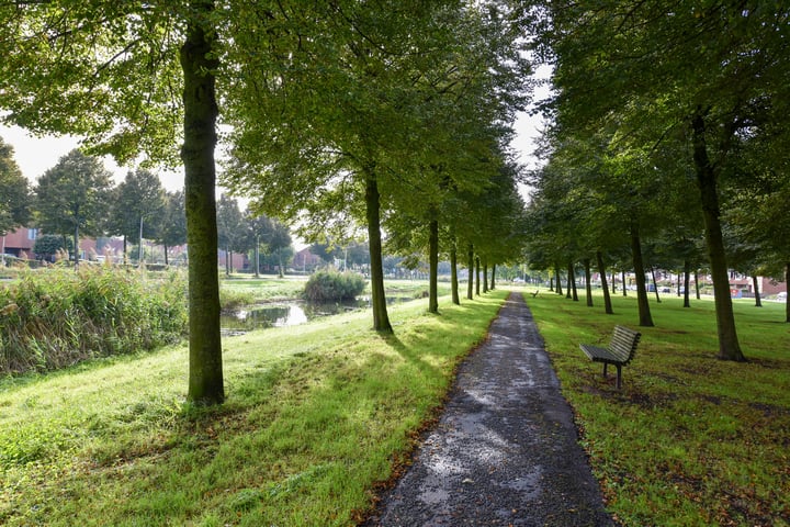 Bekijk foto 41 van Boomkleverlaan 161