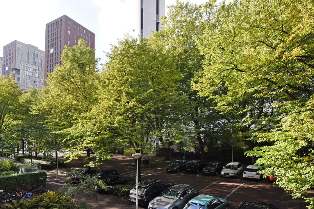 Foto 11 van Louise Henriëttestraat 66