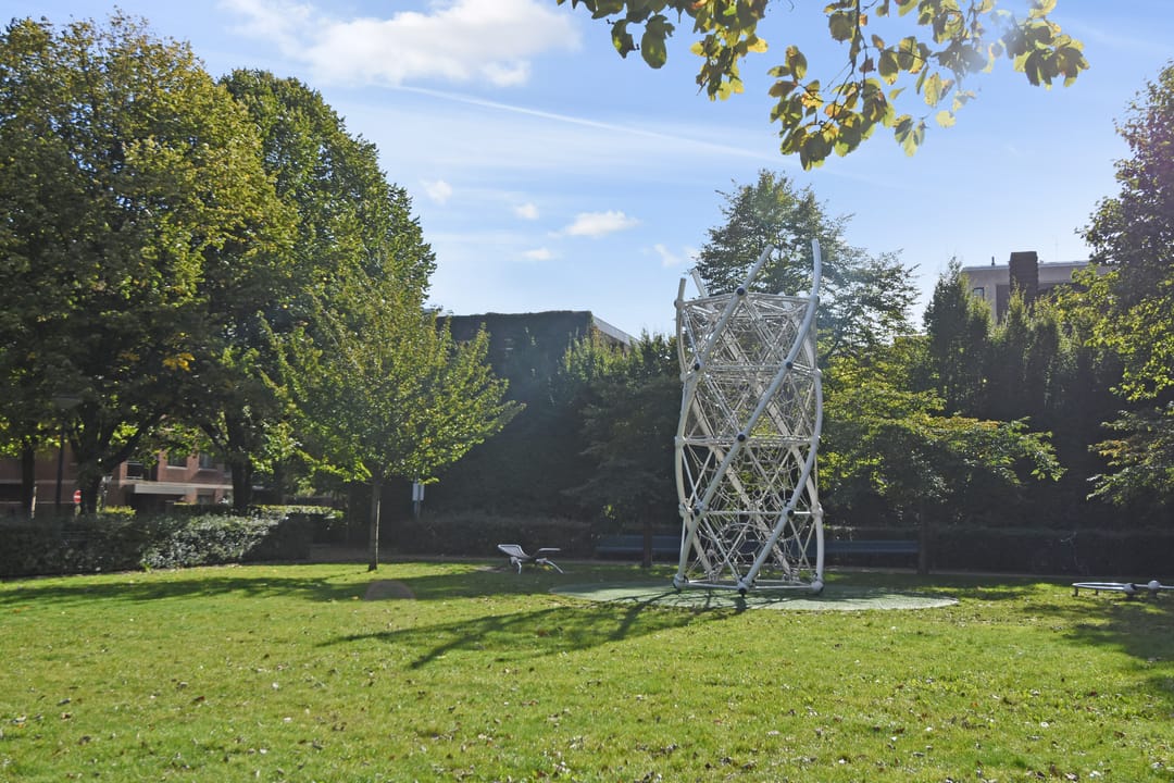 Foto 31 van Louise Henriëttestraat 66