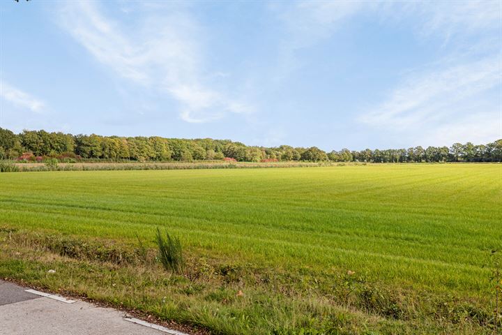 Bekijk foto 43 van Oldenzaalsestraat 1053