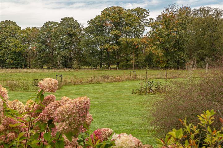 View photo 41 of 't Rechtewegje 55