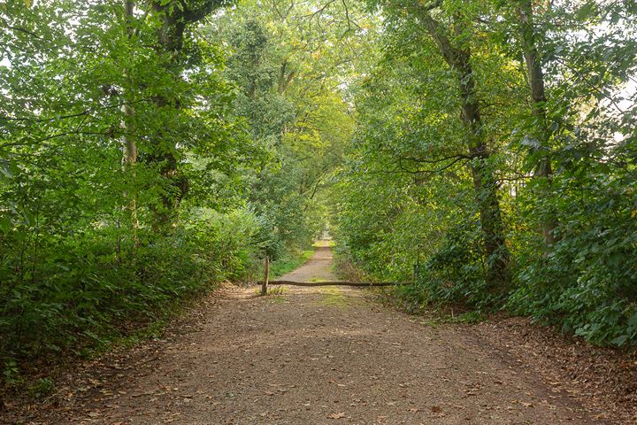 View photo 52 of 't Rechtewegje 55