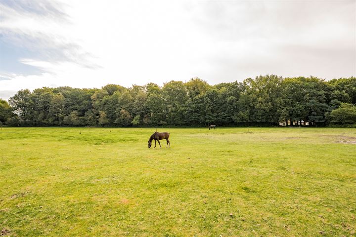 View photo 54 of Insingerstraat 20-A