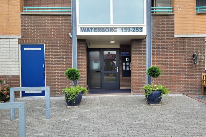 Bekijk foto 32 van Waterborg 205