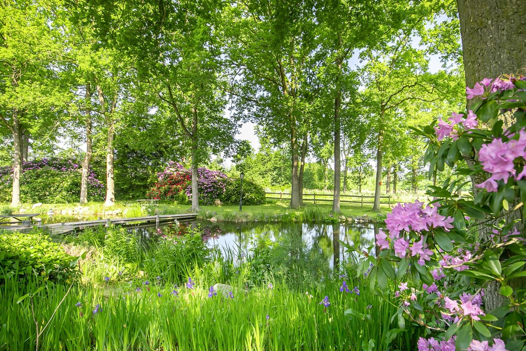 Foto 32 van Rector Nuijtsstraat 11