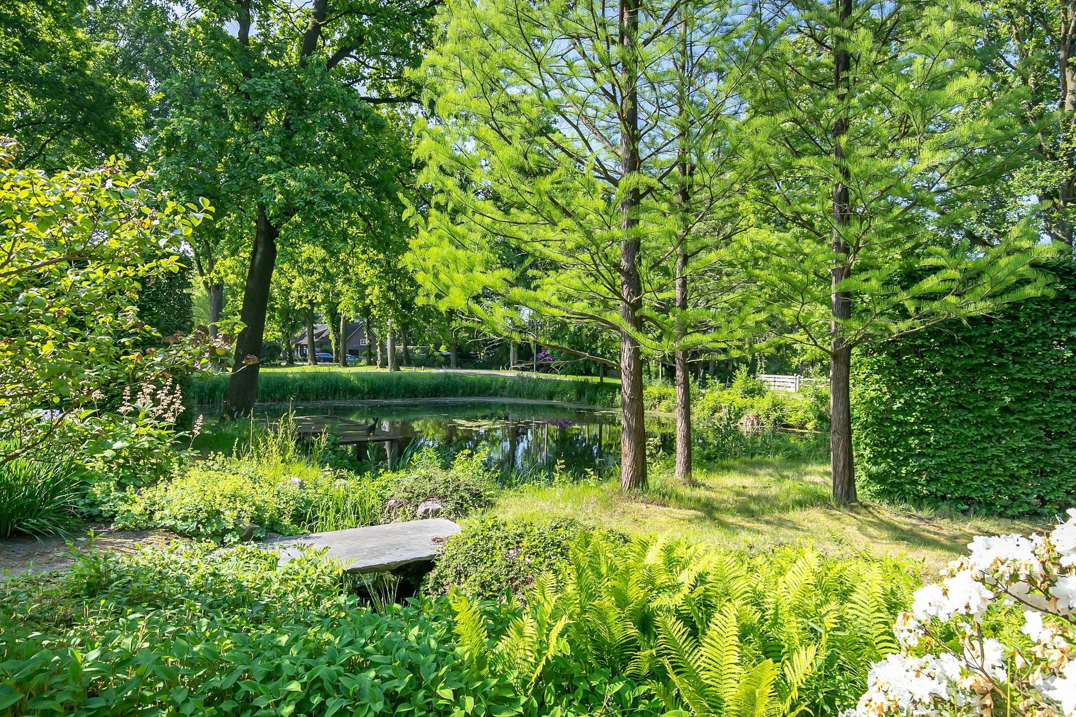 Foto 36 van Rector Nuijtsstraat 11