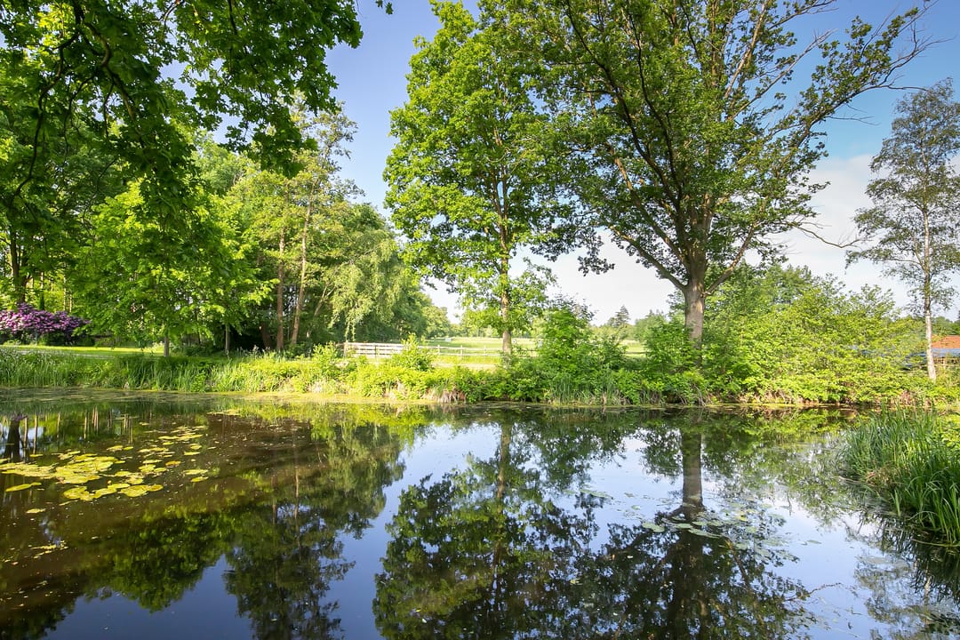 Foto 37 van Rector Nuijtsstraat 11