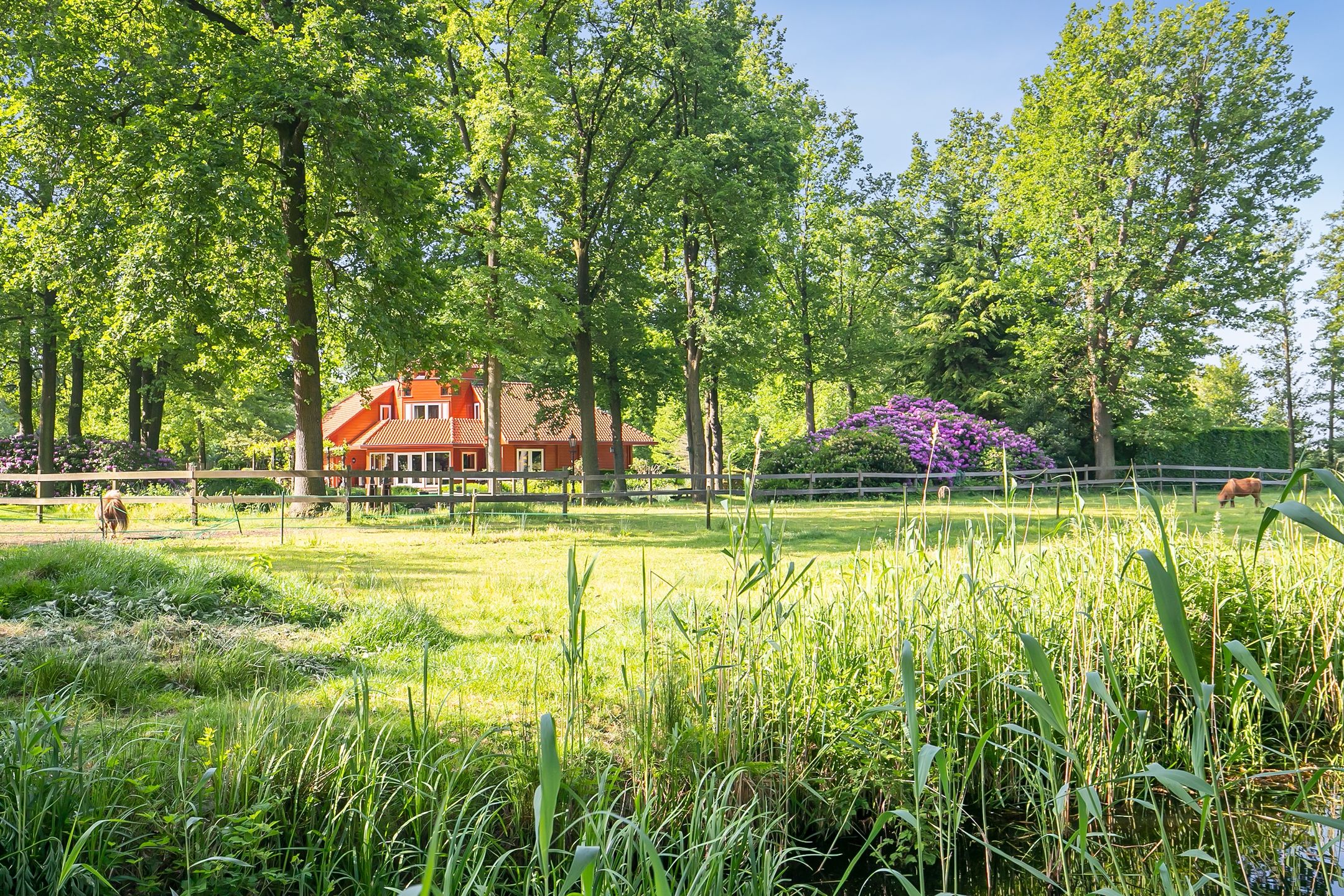 Foto 39 van Rector Nuijtsstraat 11