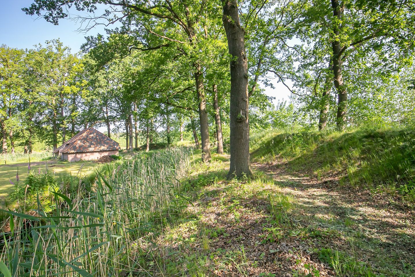 Foto 40 van Rector Nuijtsstraat 11