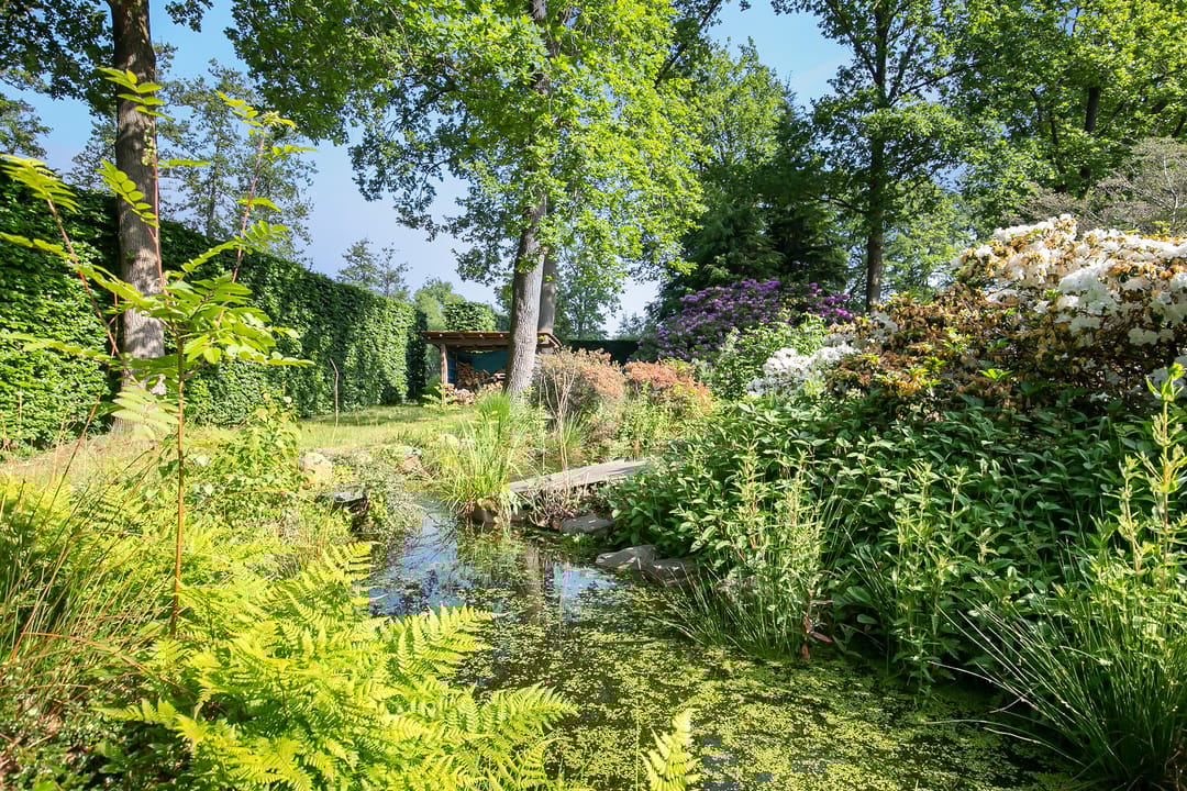 Foto 41 van Rector Nuijtsstraat 11