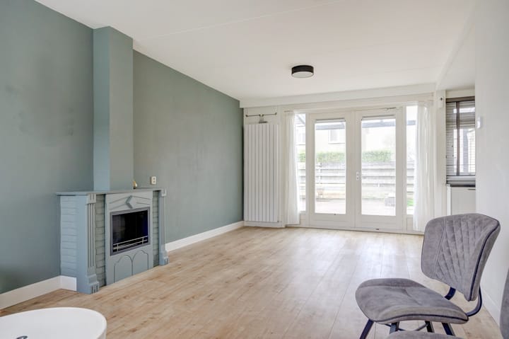 Foto 3 van Learmole 12