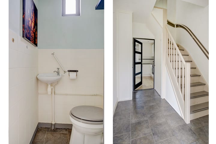 Foto 12 van Learmole 12