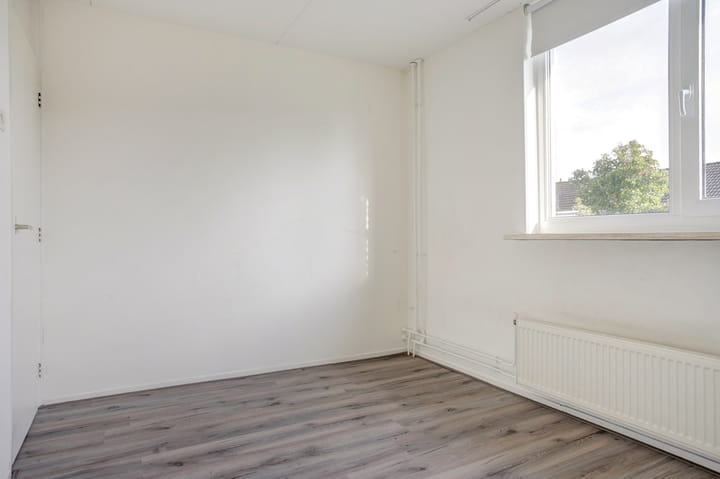 Foto 20 van Learmole 12