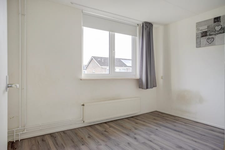 Foto 21 van Learmole 12