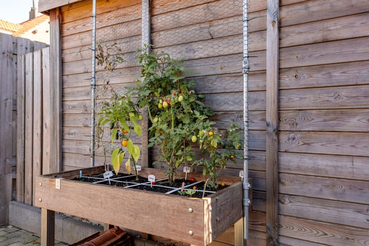 Foto 35 van Leijparkweg 71