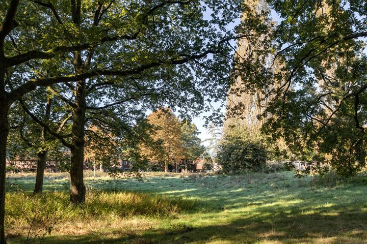 Bekijk foto 42 van Leijparkweg 71