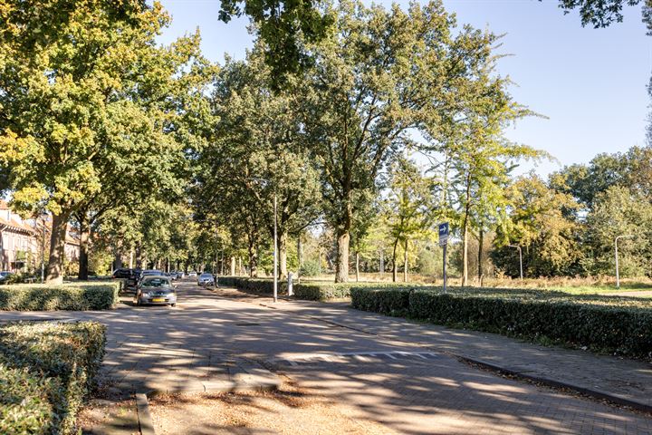 Bekijk foto 46 van Leijparkweg 71