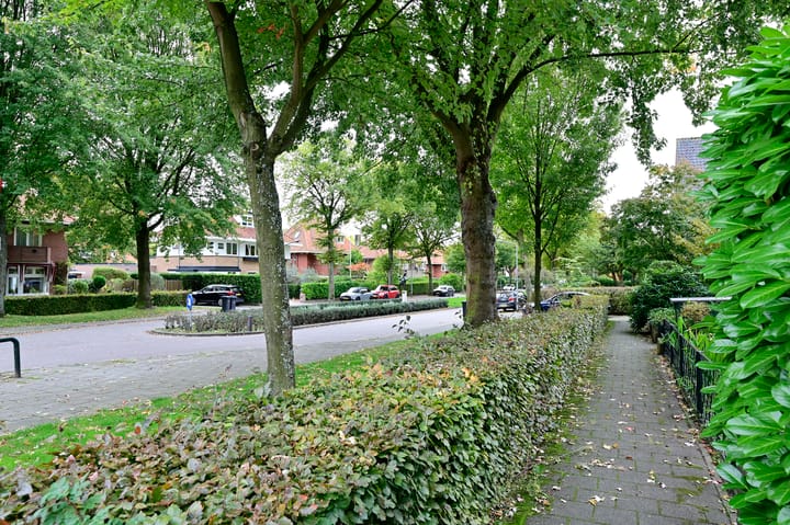 Foto 7 van Pieter de Hooghlaan 20