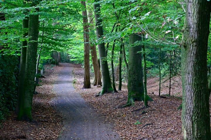 Foto 8 van Pieter de Hooghlaan 20