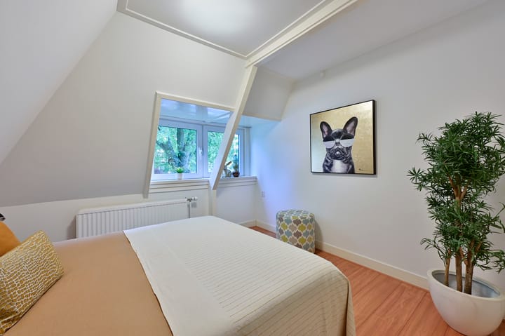 Foto 17 van Pieter de Hooghlaan 20