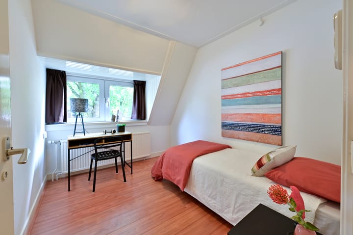 Foto 18 van Pieter de Hooghlaan 20