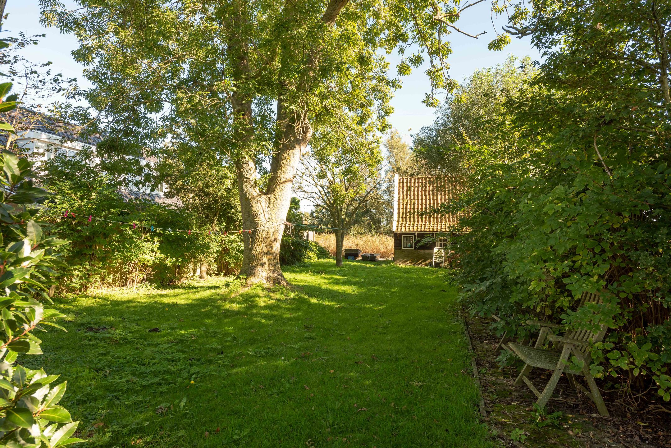 Foto 39 van Haviksdijkje 7