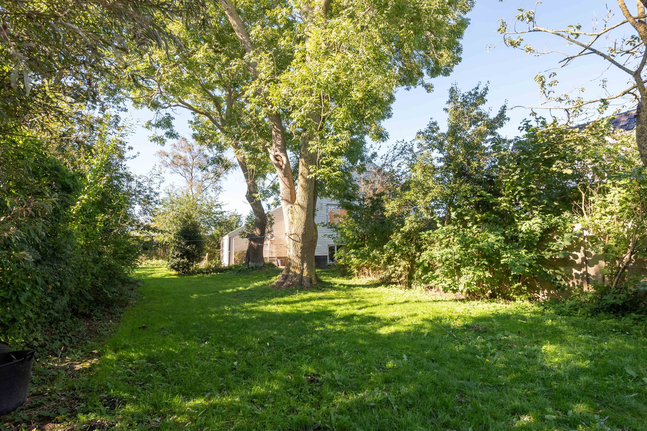 Foto 45 van Haviksdijkje 7