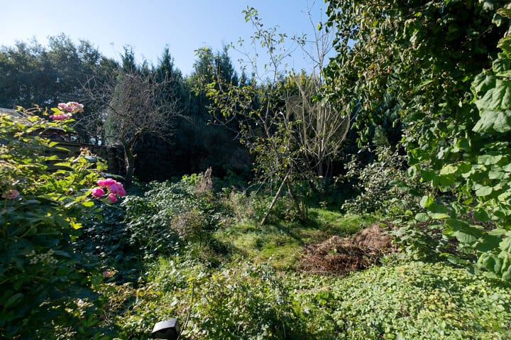 Foto 27 van De Leek 6