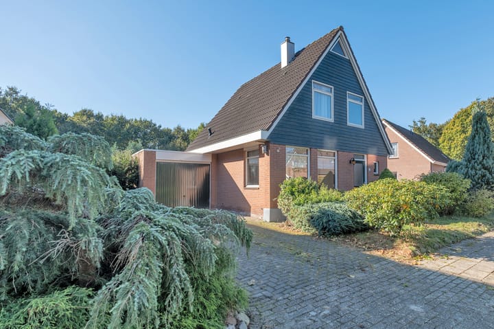 Foto 38 van De Leek 6