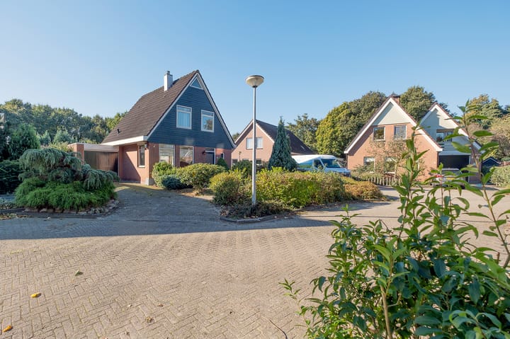 Foto 39 van De Leek 6