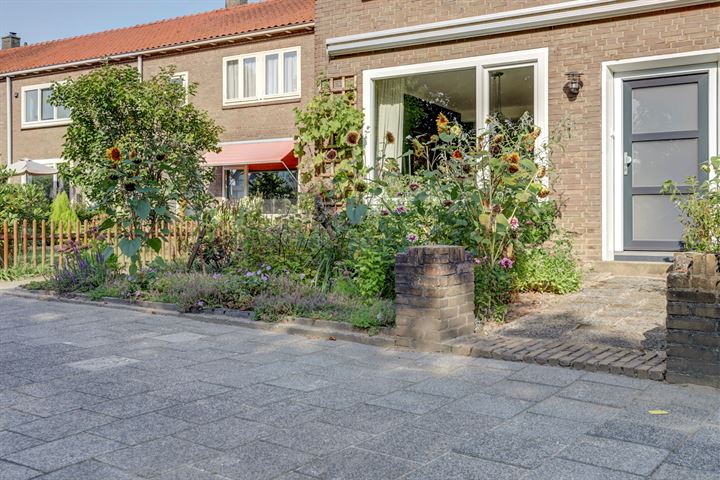 View photo 34 of Treubstraat 106