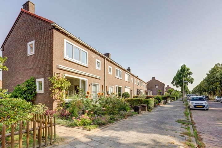 View photo 36 of Treubstraat 106