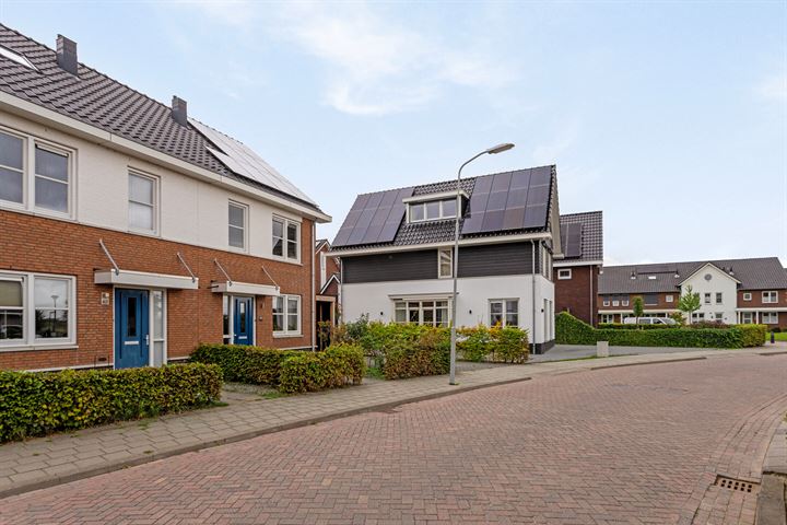 Bekijk foto 4 van Havenstraat 42