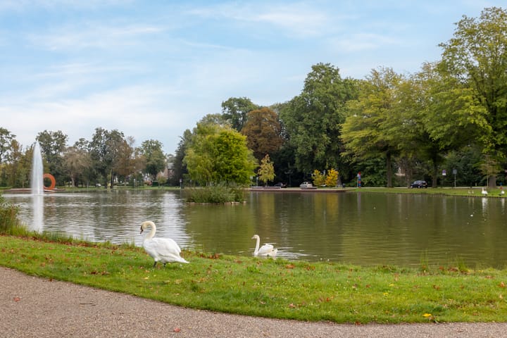 Foto 4 van Broekstraat 25-5