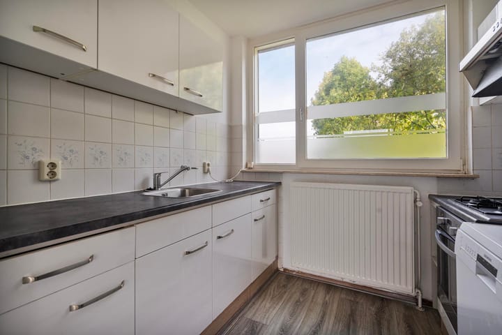 Photo 11 of Fossielenerf 206