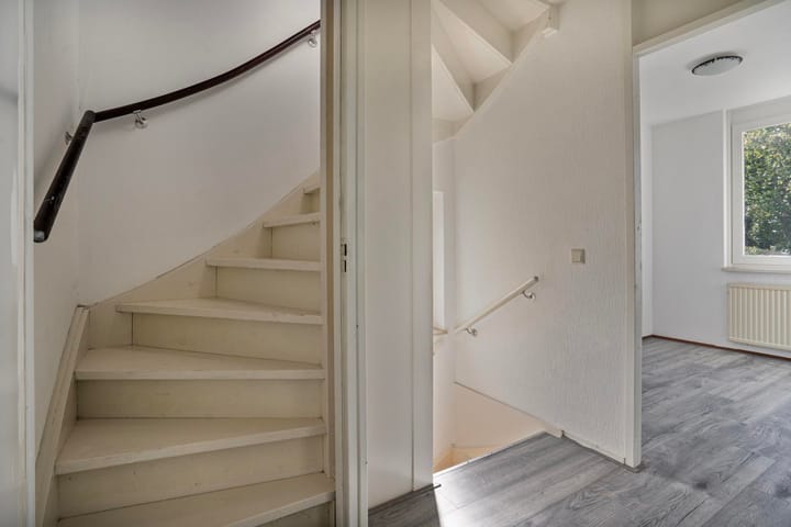 Photo 14 of Fossielenerf 206