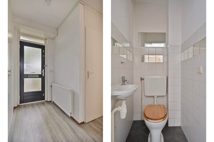 Photo 32 of Fossielenerf 206