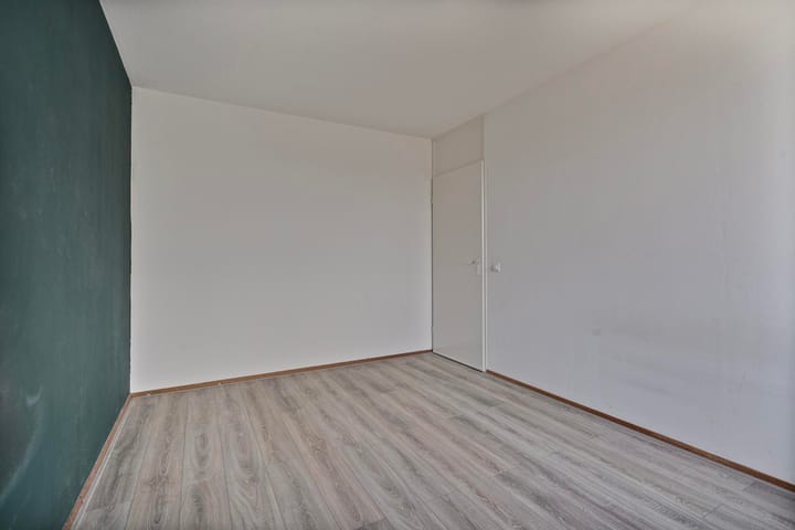 Photo 18 of Fossielenerf 206