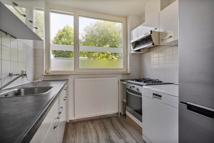 Photo 12 of Fossielenerf 206