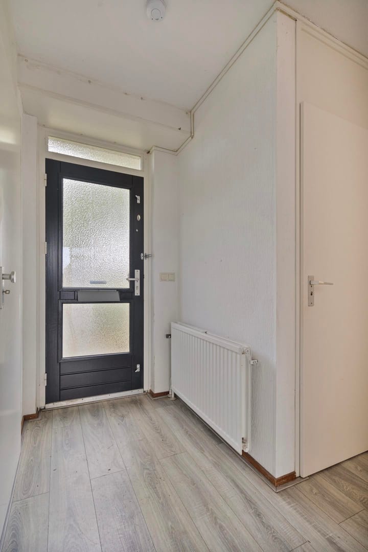 Photo 4 of Fossielenerf 206